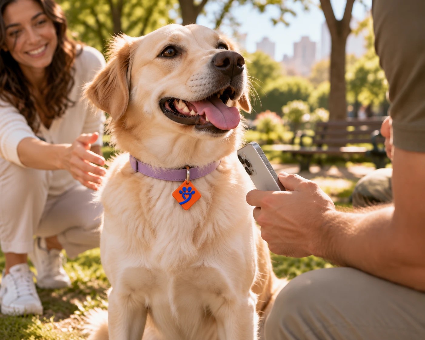 Pet com sua TagPet na coleira enquanto uma pessoa aproxima o celular